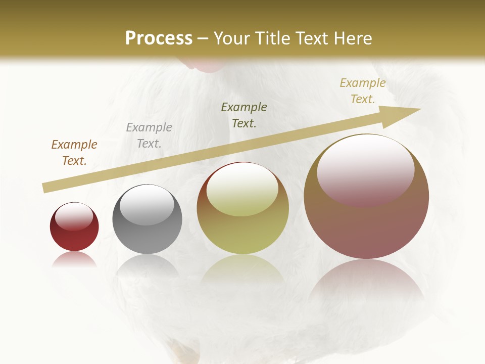Image Of Hen Surrounded By Golden Eggs PowerPoint Template