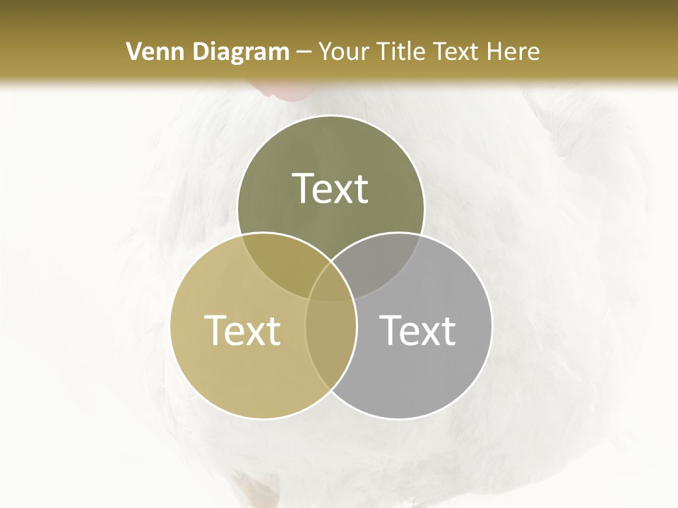 Image Of Hen Surrounded By Golden Eggs PowerPoint Template