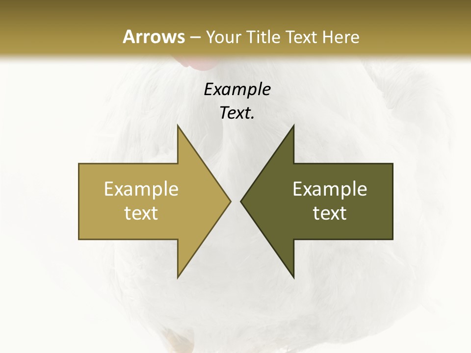 Image Of Hen Surrounded By Golden Eggs PowerPoint Template