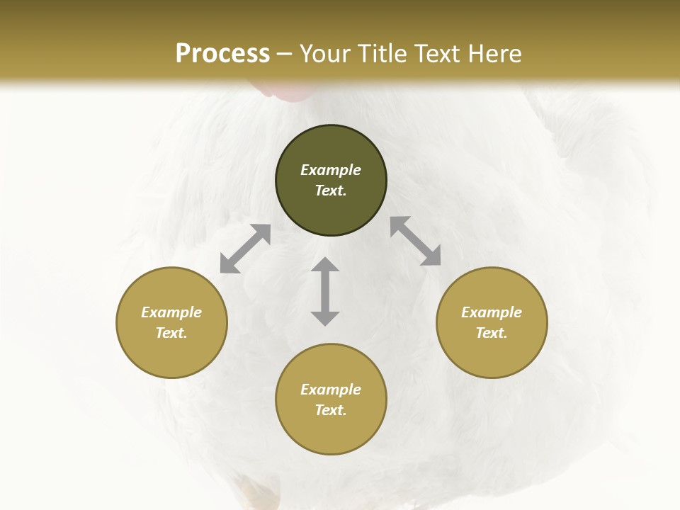 Image Of Hen Surrounded By Golden Eggs PowerPoint Template