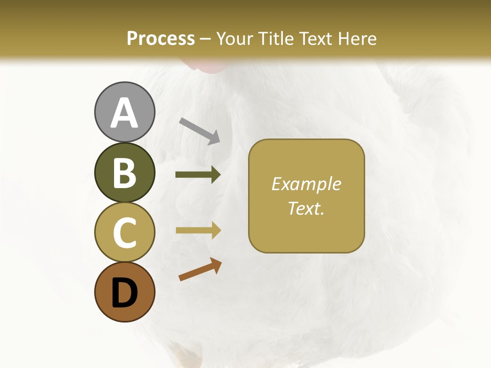 Image Of Hen Surrounded By Golden Eggs PowerPoint Template