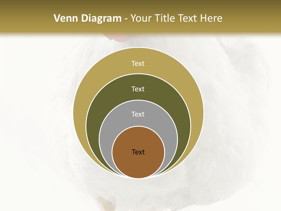 Image Of Hen Surrounded By Golden Eggs PowerPoint Template