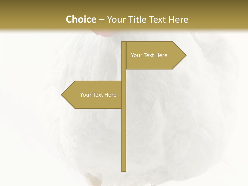 Image Of Hen Surrounded By Golden Eggs PowerPoint Template