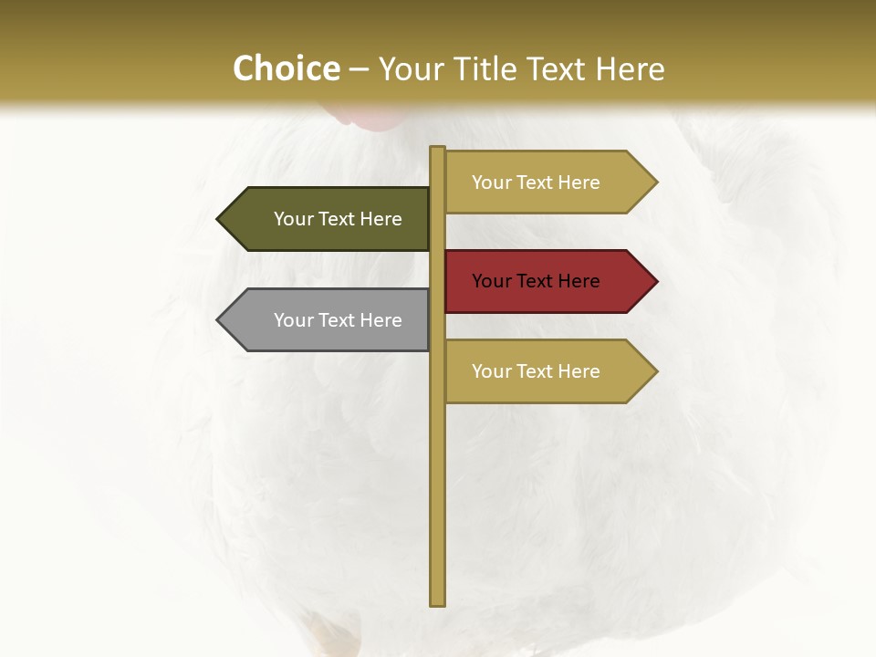 Image Of Hen Surrounded By Golden Eggs PowerPoint Template