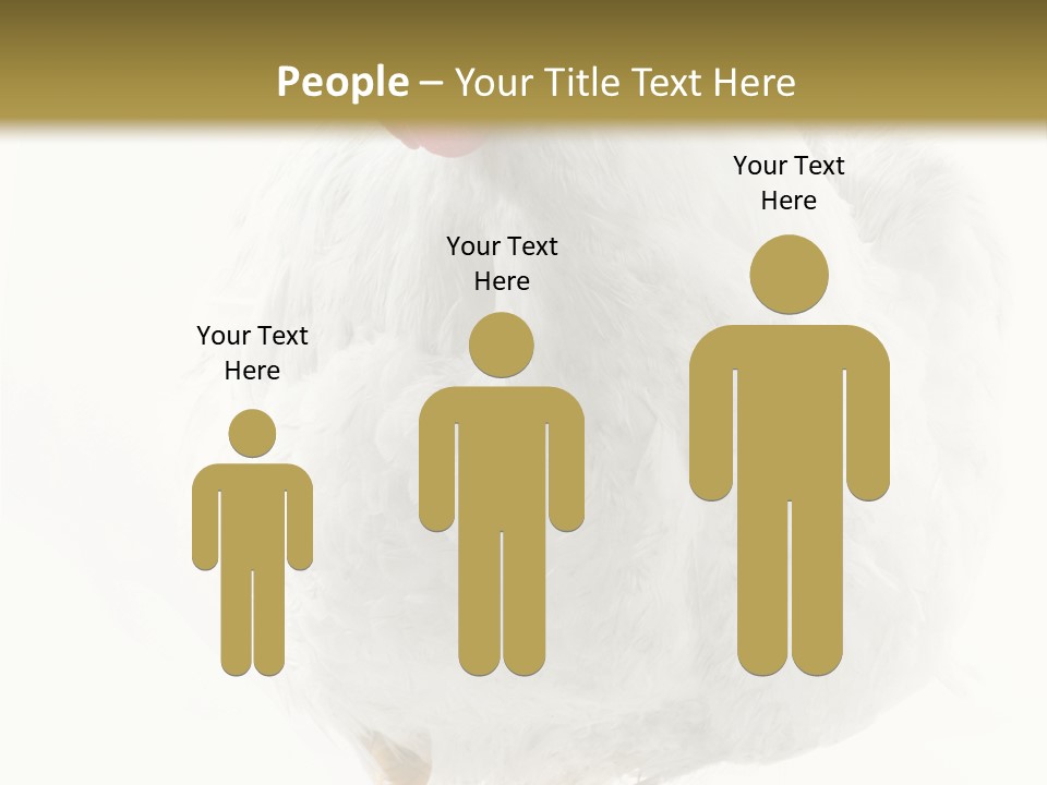 Image Of Hen Surrounded By Golden Eggs PowerPoint Template