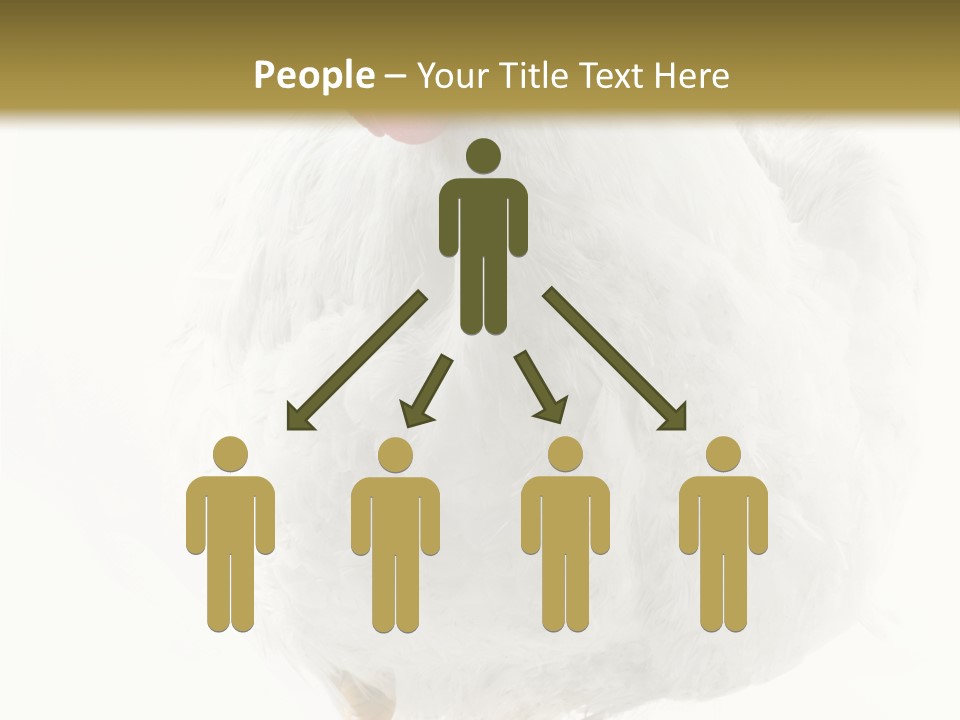 Image Of Hen Surrounded By Golden Eggs PowerPoint Template