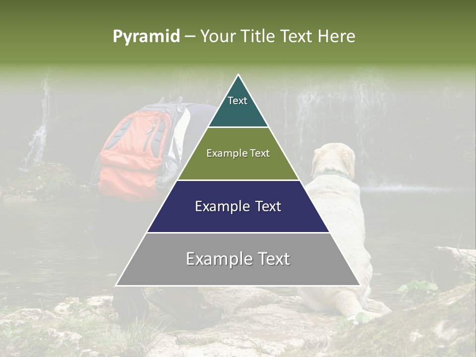 Man And His Dog Enjoying The Beautiful View PowerPoint Template