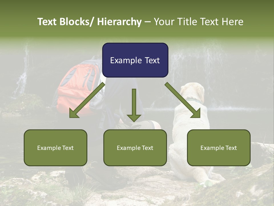 Man And His Dog Enjoying The Beautiful View PowerPoint Template