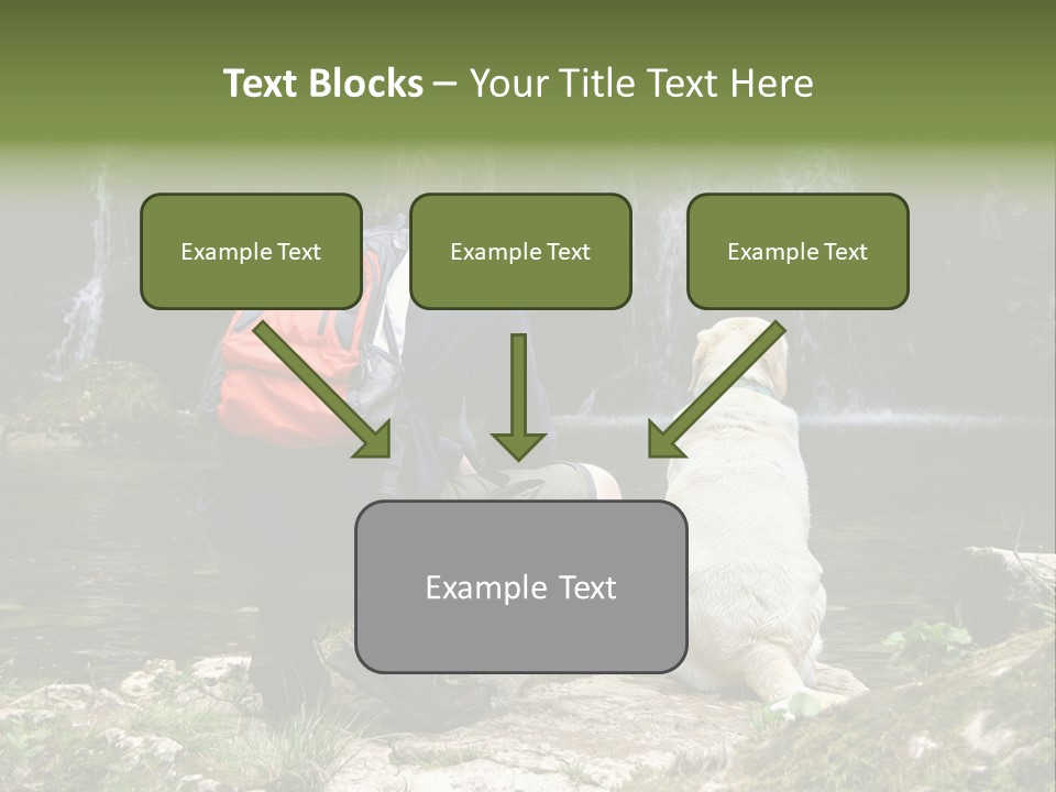 Man And His Dog Enjoying The Beautiful View PowerPoint Template