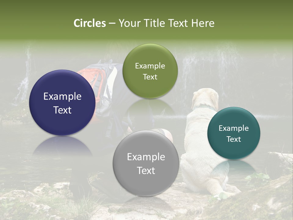 Man And His Dog Enjoying The Beautiful View PowerPoint Template