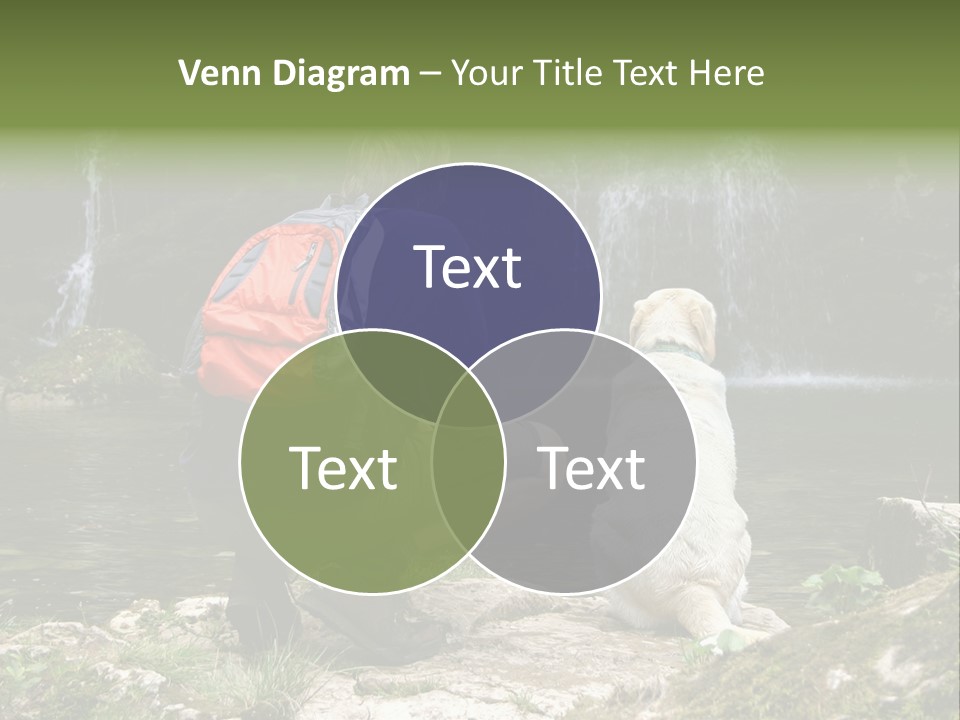 Man And His Dog Enjoying The Beautiful View PowerPoint Template