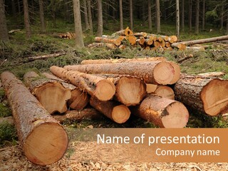 Bunches Of Felled Trees At A Logging Site PowerPoint Template