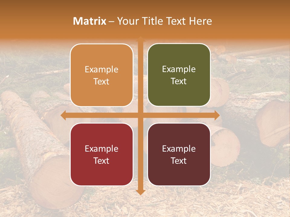 Bunches Of Felled Trees At A Logging Site PowerPoint Template