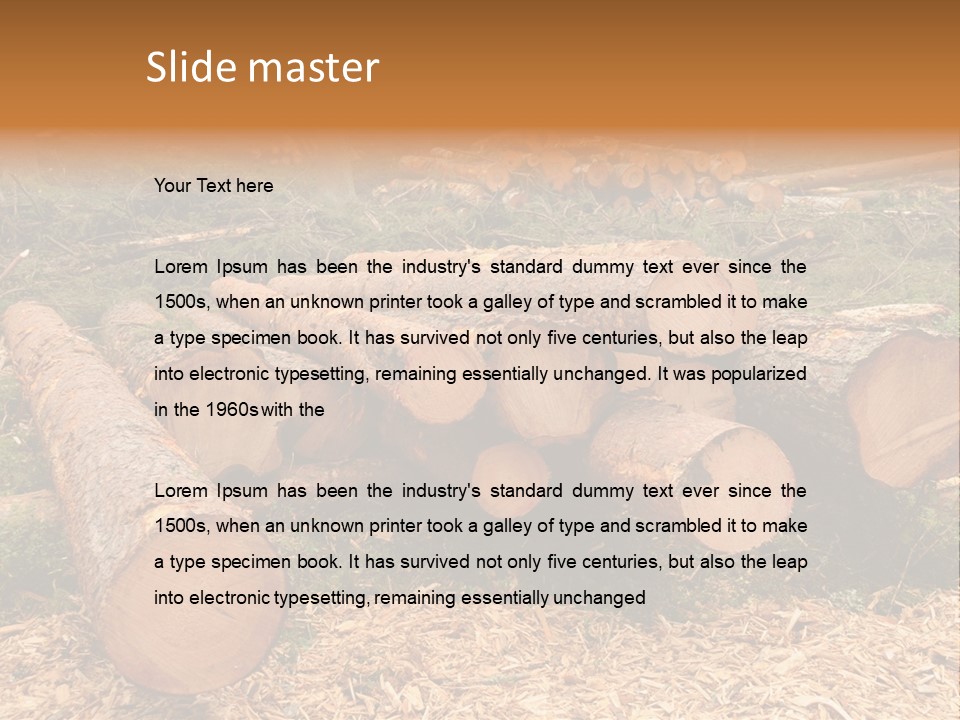 Bunches Of Felled Trees At A Logging Site PowerPoint Template