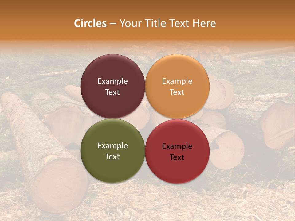 Bunches Of Felled Trees At A Logging Site PowerPoint Template