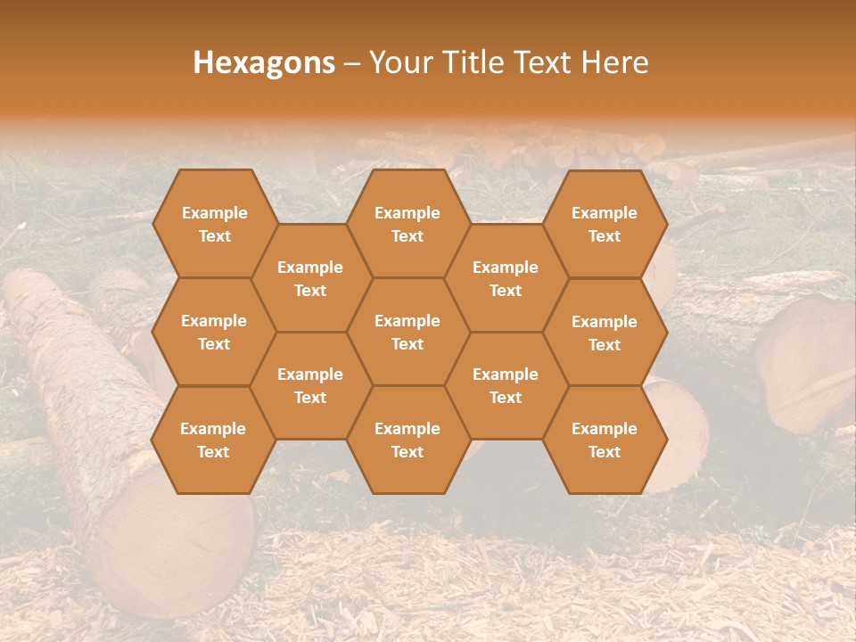 Bunches Of Felled Trees At A Logging Site PowerPoint Template