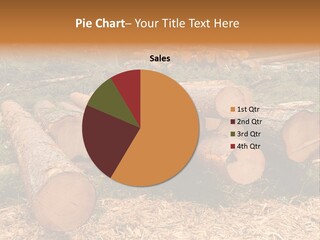 Bunches Of Felled Trees At A Logging Site PowerPoint Template