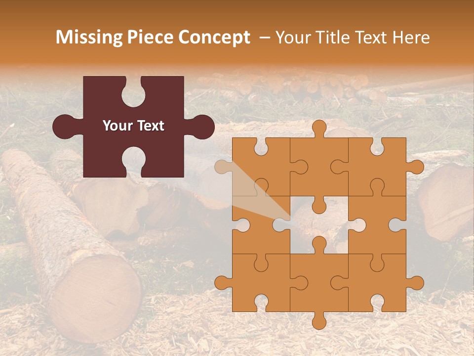 Bunches Of Felled Trees At A Logging Site PowerPoint Template