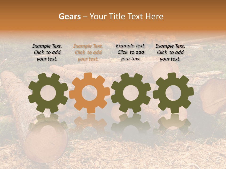 Bunches Of Felled Trees At A Logging Site PowerPoint Template