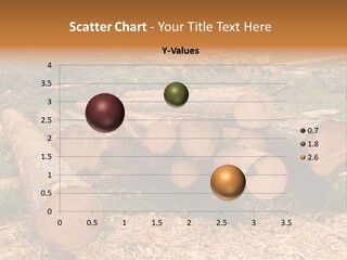 Bunches Of Felled Trees At A Logging Site PowerPoint Template