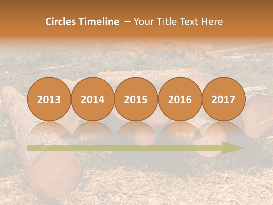 Bunches Of Felled Trees At A Logging Site PowerPoint Template