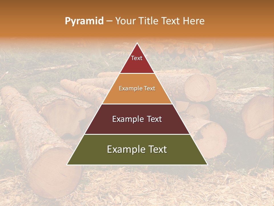 Bunches Of Felled Trees At A Logging Site PowerPoint Template