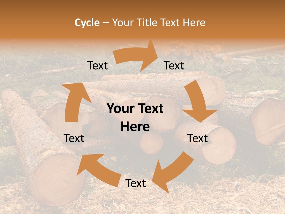 Bunches Of Felled Trees At A Logging Site PowerPoint Template