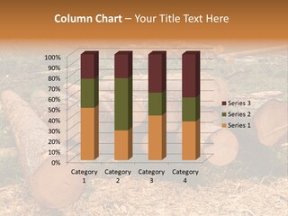 Bunches Of Felled Trees At A Logging Site PowerPoint Template