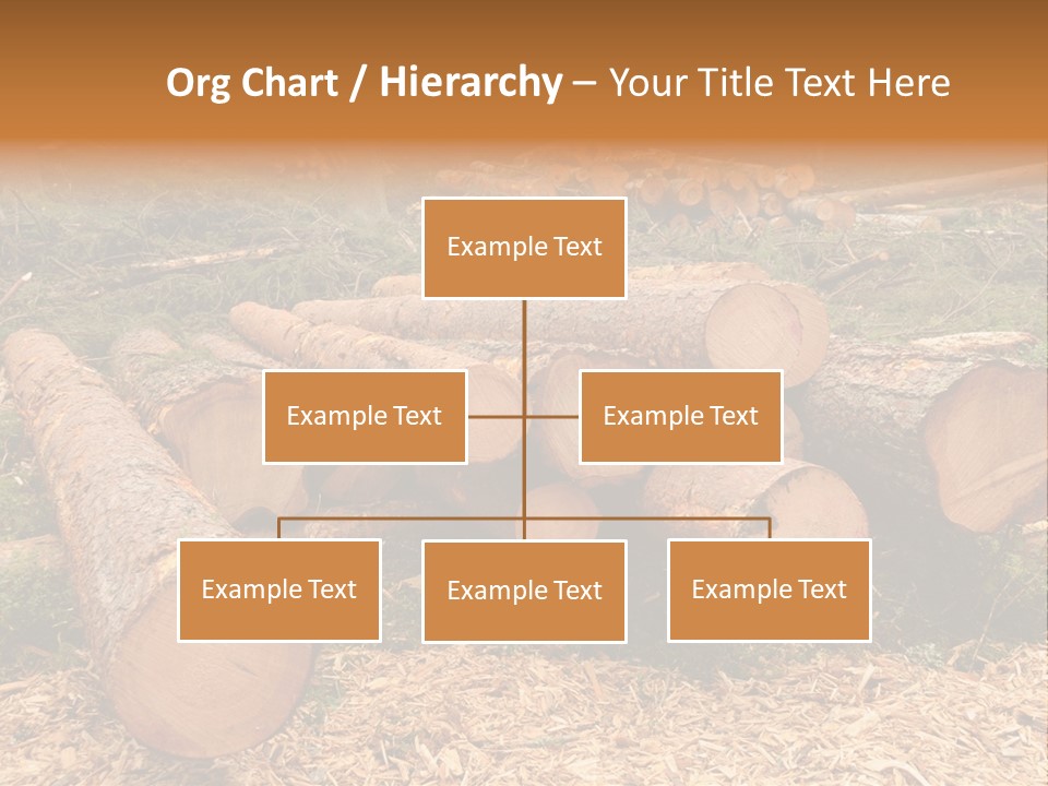 Bunches Of Felled Trees At A Logging Site PowerPoint Template