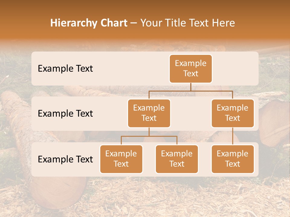 Bunches Of Felled Trees At A Logging Site PowerPoint Template