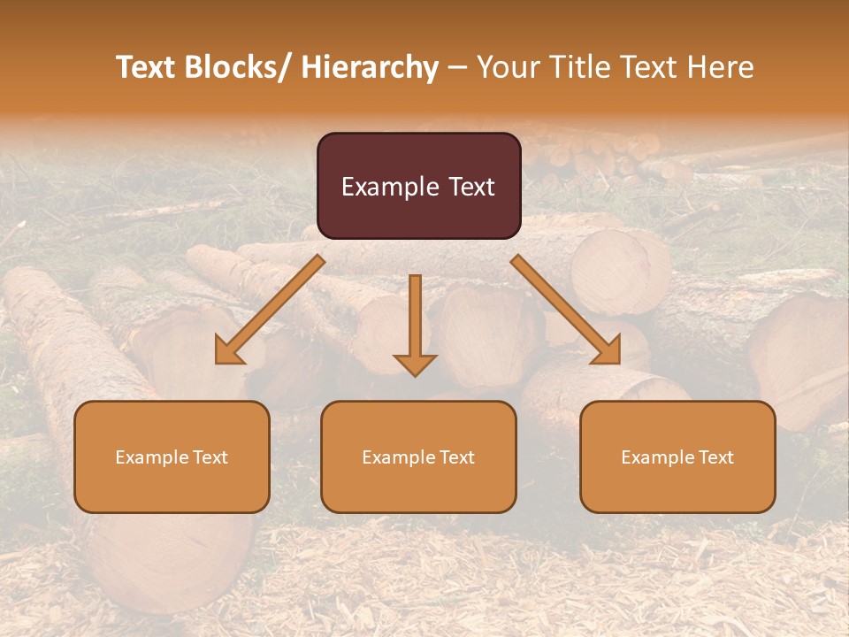 Bunches Of Felled Trees At A Logging Site PowerPoint Template