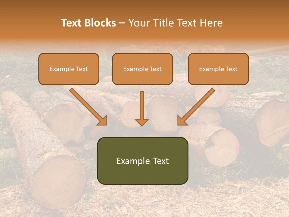 Bunches Of Felled Trees At A Logging Site PowerPoint Template