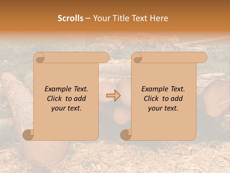 Bunches Of Felled Trees At A Logging Site PowerPoint Template