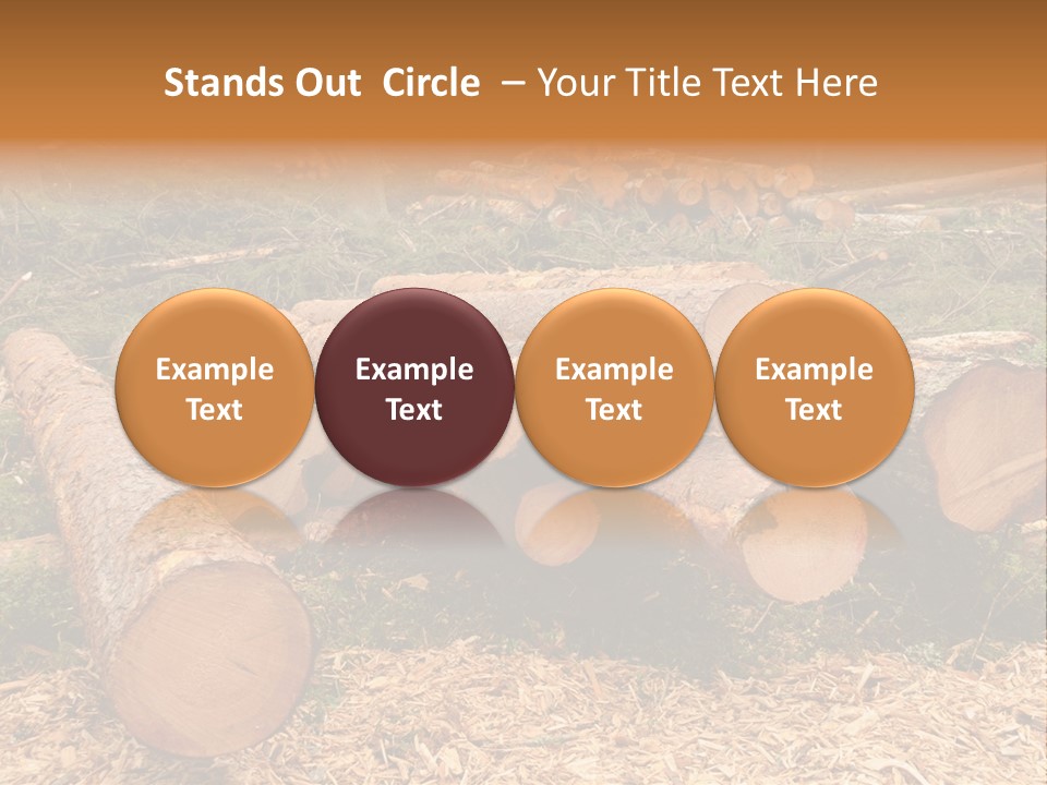 Bunches Of Felled Trees At A Logging Site PowerPoint Template