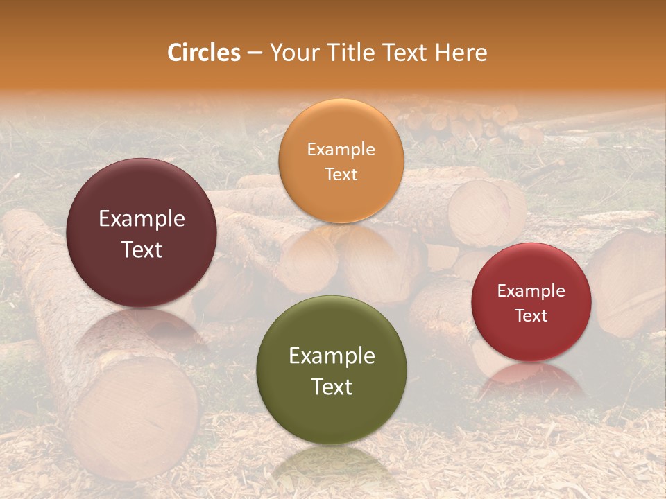 Bunches Of Felled Trees At A Logging Site PowerPoint Template