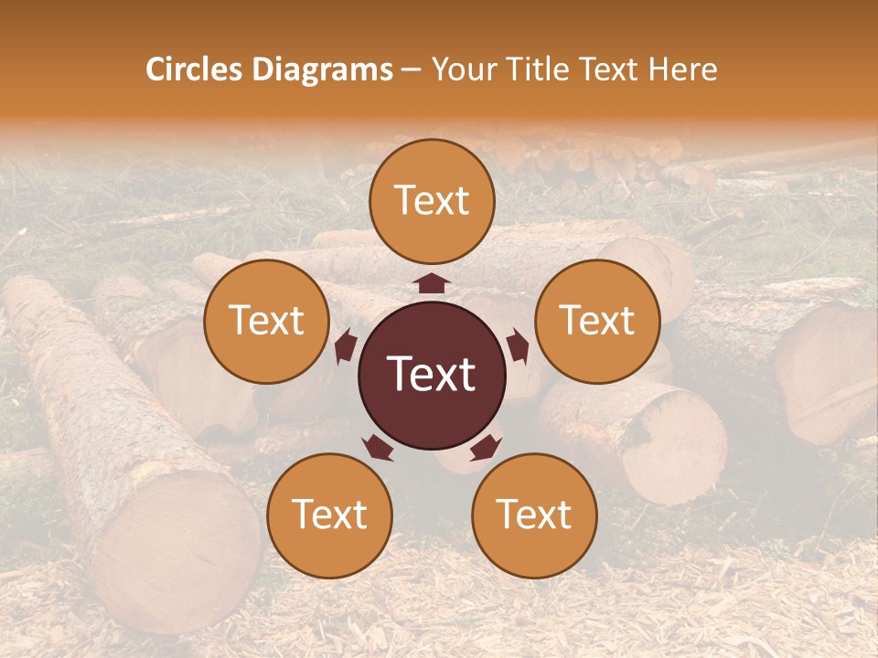 Bunches Of Felled Trees At A Logging Site PowerPoint Template