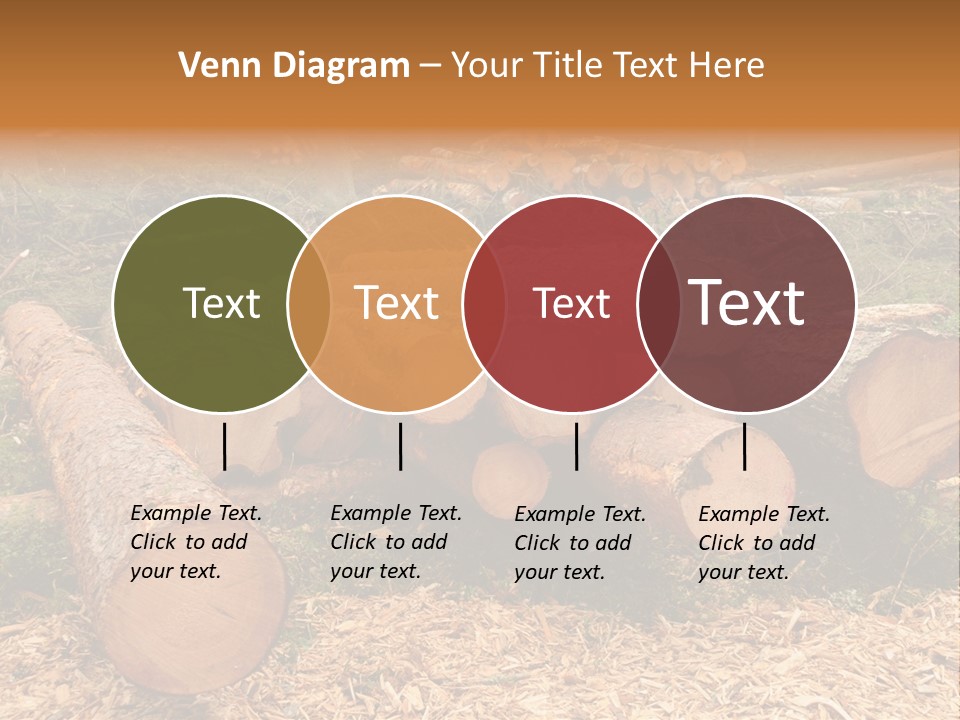 Bunches Of Felled Trees At A Logging Site PowerPoint Template