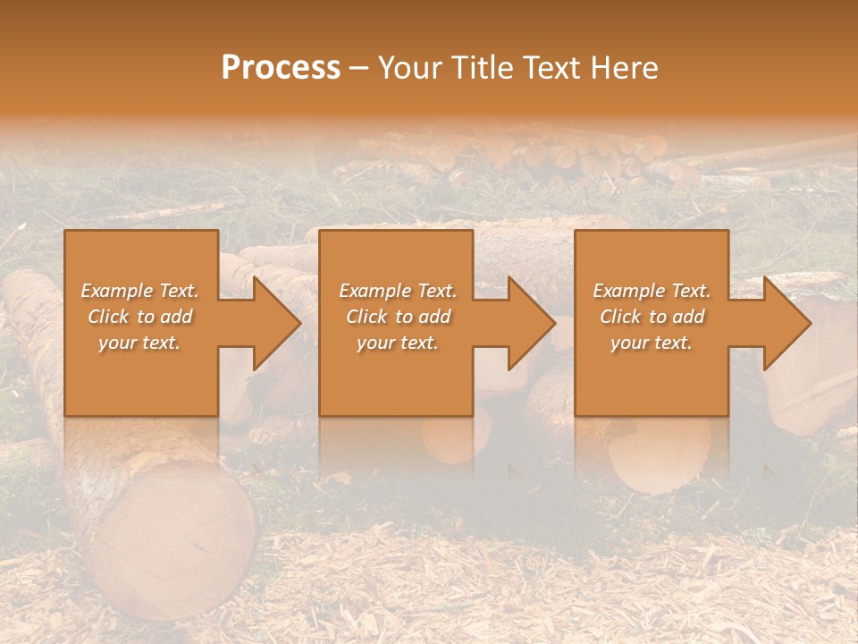 Bunches Of Felled Trees At A Logging Site PowerPoint Template