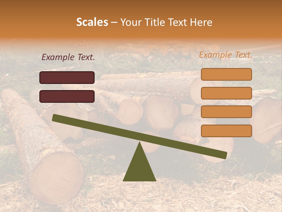 Bunches Of Felled Trees At A Logging Site PowerPoint Template
