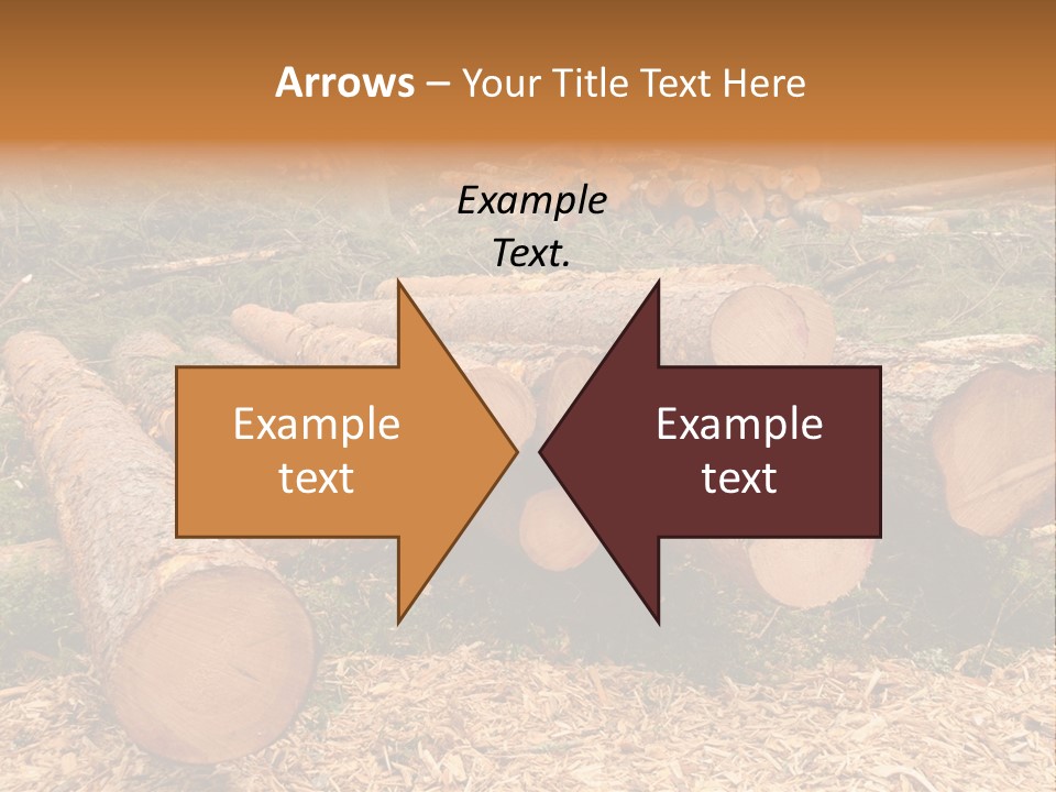 Bunches Of Felled Trees At A Logging Site PowerPoint Template