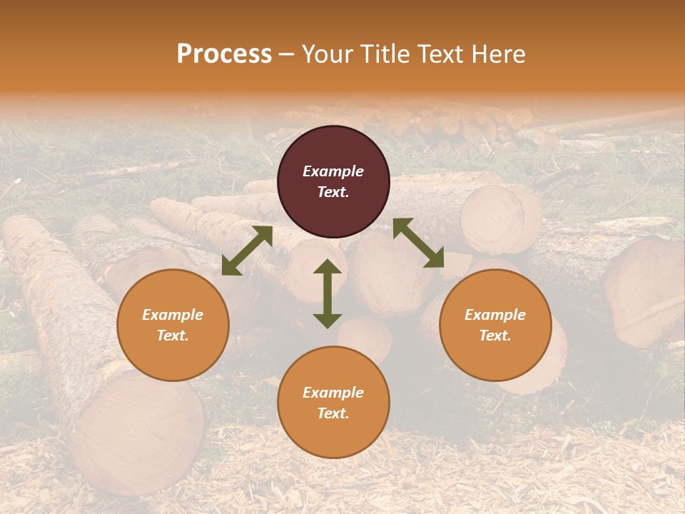 Bunches Of Felled Trees At A Logging Site PowerPoint Template
