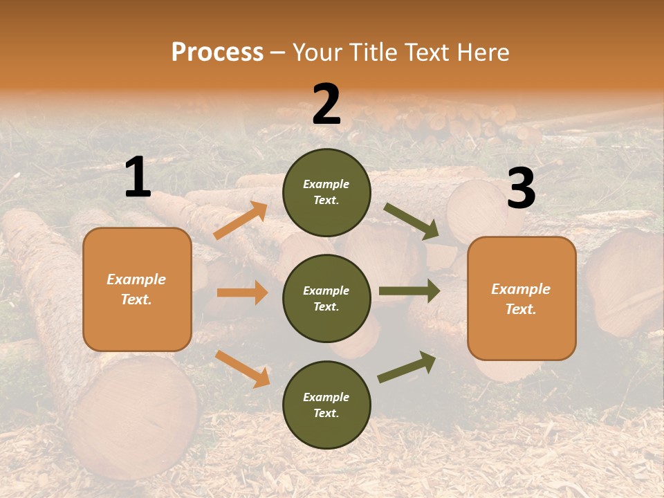 Bunches Of Felled Trees At A Logging Site PowerPoint Template