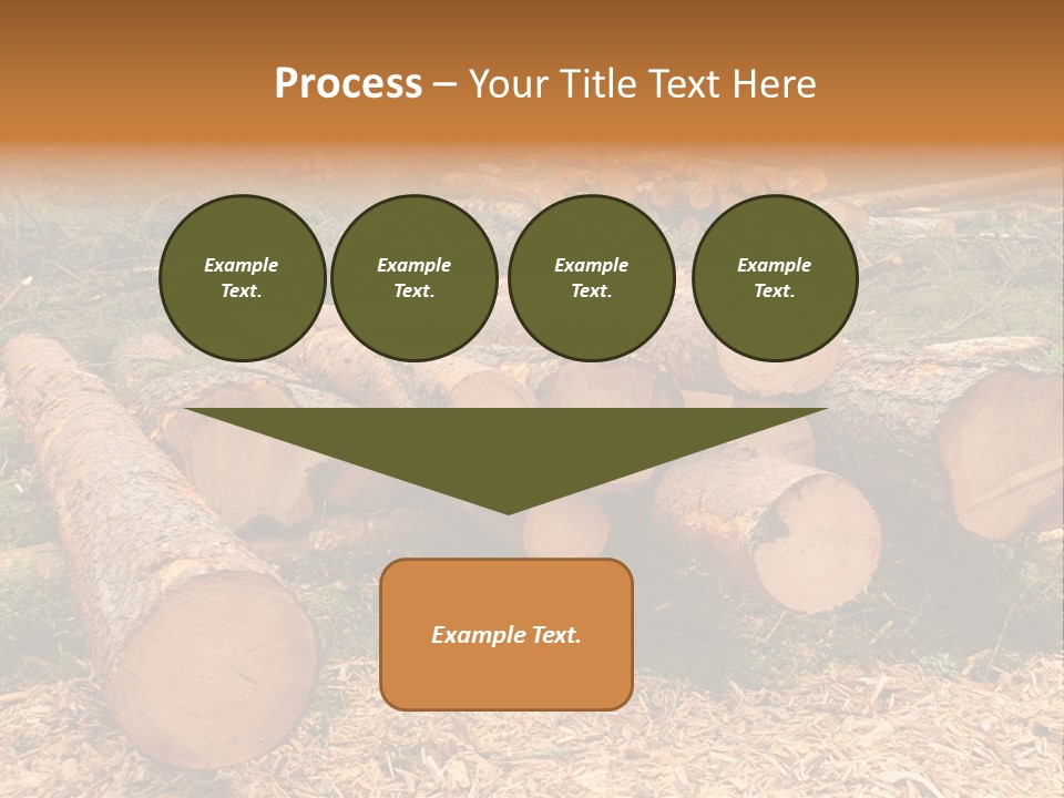 Bunches Of Felled Trees At A Logging Site PowerPoint Template