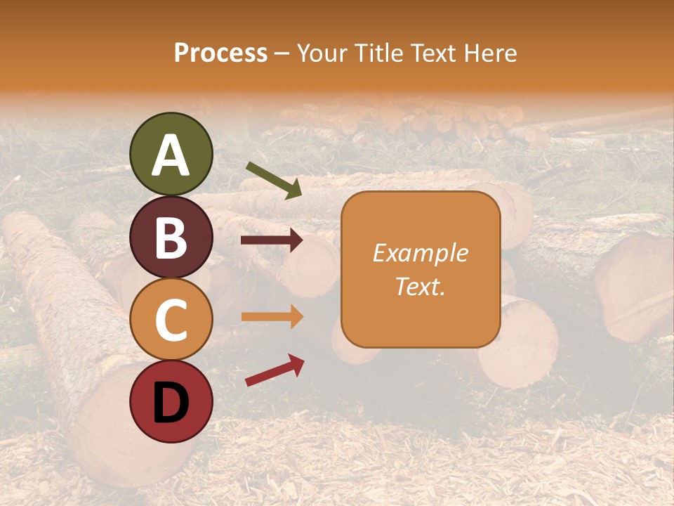 Bunches Of Felled Trees At A Logging Site PowerPoint Template