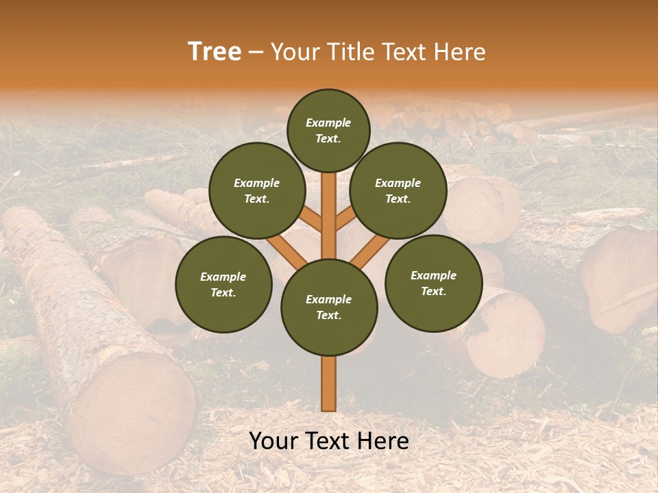 Bunches Of Felled Trees At A Logging Site PowerPoint Template