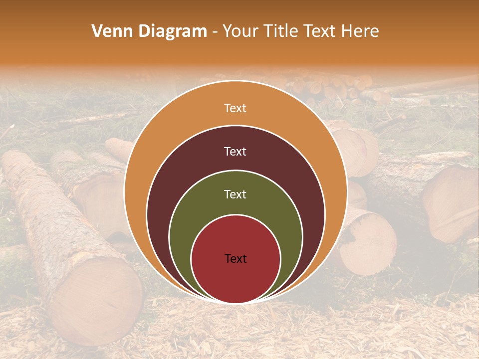 Bunches Of Felled Trees At A Logging Site PowerPoint Template