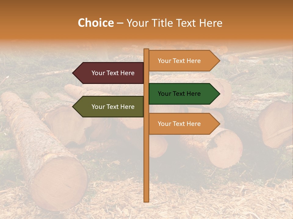 Bunches Of Felled Trees At A Logging Site PowerPoint Template