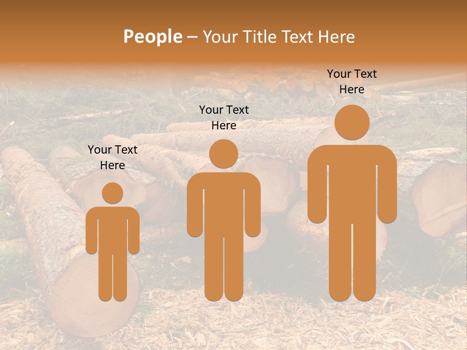 Bunches Of Felled Trees At A Logging Site PowerPoint Template