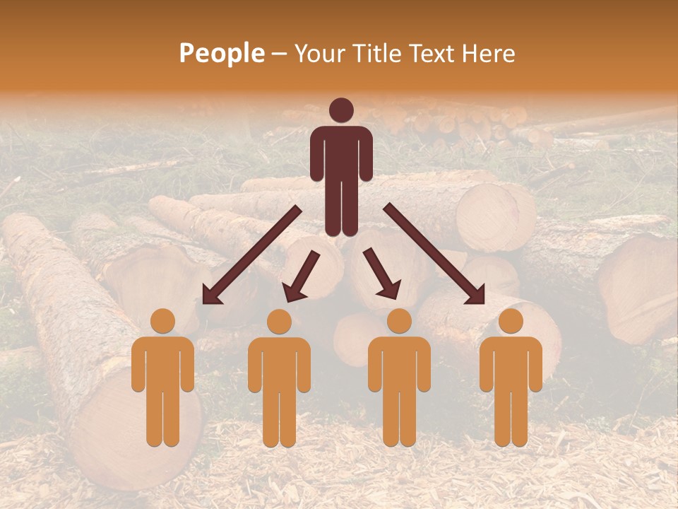 Bunches Of Felled Trees At A Logging Site PowerPoint Template