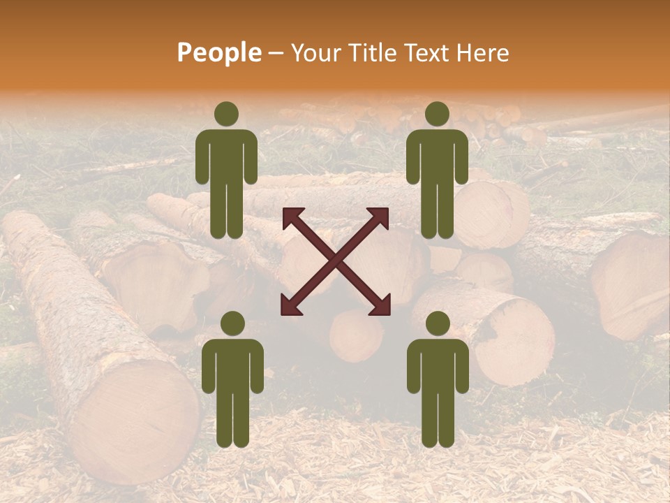 Bunches Of Felled Trees At A Logging Site PowerPoint Template